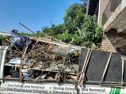 Shed Removal in Hamshire, TX